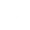 check-icon